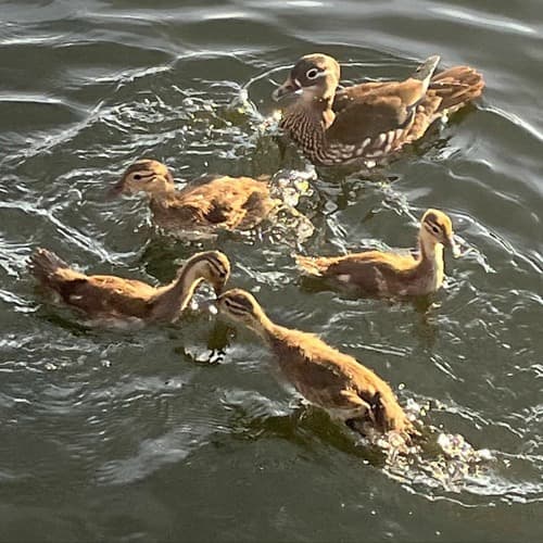 Nat @ Sisyphos Berlin